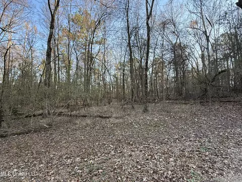 Mannsdale Bluff Trail, Madison, MS 39110 photo 7