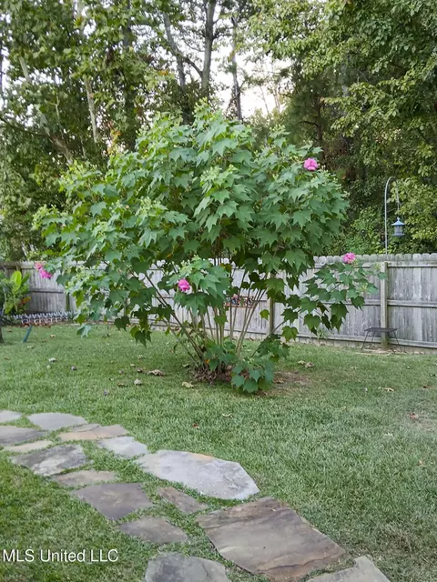 Exterior - 128 Belle Oak Dr, Brandon, MS 39042 photo 5 of 7