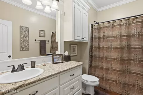 Bath - 128 Belle Oak Dr, Brandon, MS 39042 photo 3 of 3