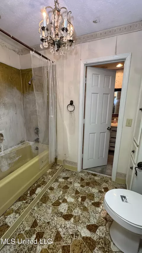 Bath - 115 Avian Ln, Jackson, MS 39204 photo 5 of 8