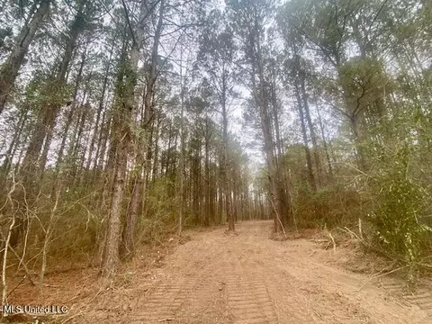 Crawley Road, Columbia, MS 39429