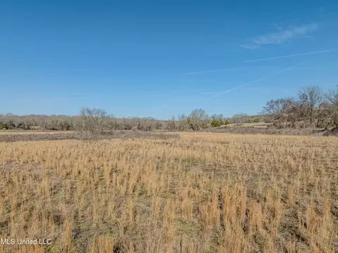 9338 Hudson Rd, Hernando, MS 38632 photo 8