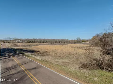 9338 Hudson Rd, Hernando, MS 38632 photo 5