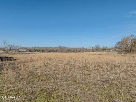 9338 Hudson Rd, Hernando, MS 38632 photo 10