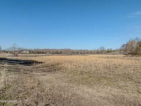 9338 Hudson Rd, Hernando, MS 38632 photo 7