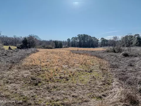 9338 Hudson Rd, Hernando, MS 38632 photo 9