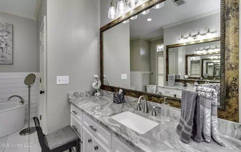 Bath - 602 Cliffview Dr, Brandon, MS 39047 photo 4 of 9