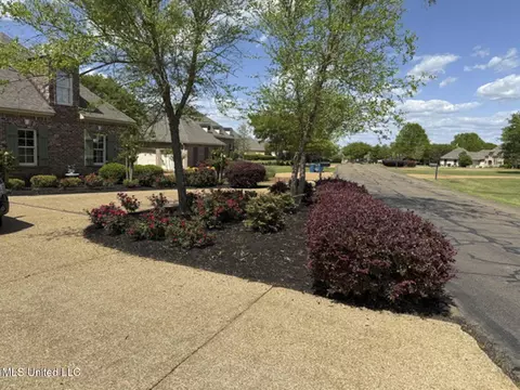 Exterior - 107 Belle Pointe, Madison, MS 39110 photo 16 of 19