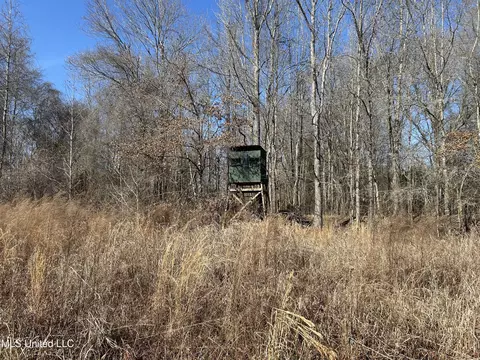 1296 Scotland Rd, Bentonia, MS 39040
