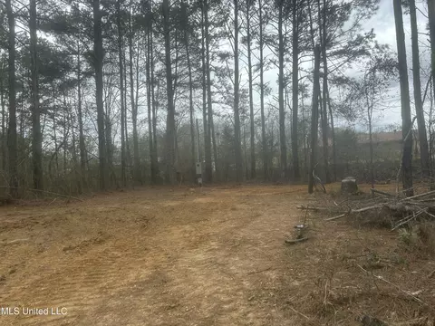 1061 NE 1040 Ne Williams St, Brookhaven, MS 39601 photo 2