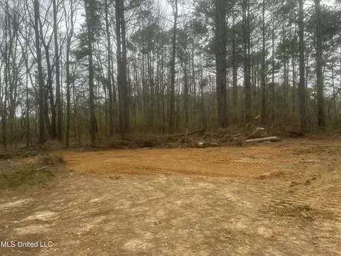 1061 NE 1040 Ne Williams St, Brookhaven, MS 39601 photo 3
