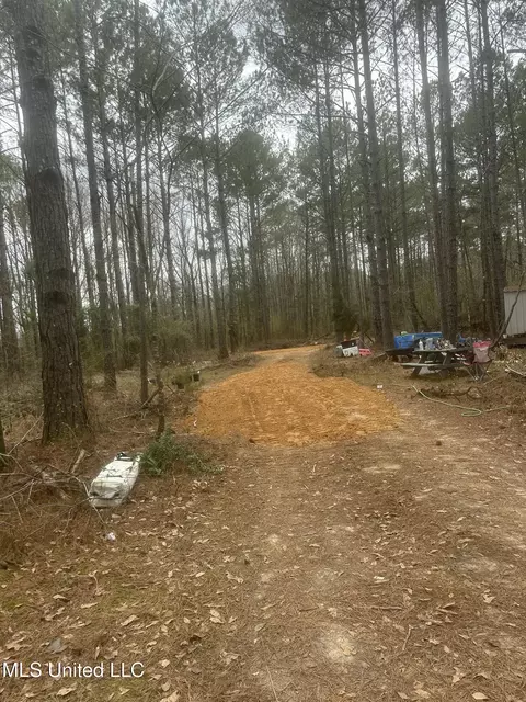 1061 NE 1040 Ne Williams St, Brookhaven, MS 39601 photo 6