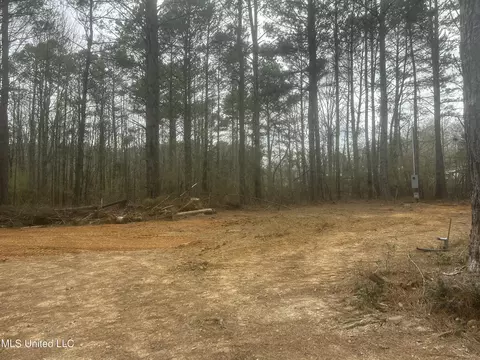 1061 NE 1040 Ne Williams St, Brookhaven, MS 39601 photo 4