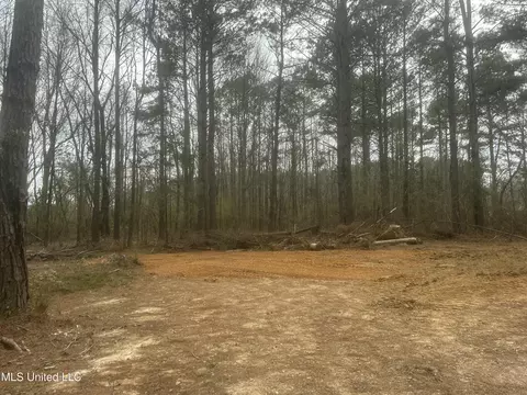 1061 NE 1040 Ne Williams St, Brookhaven, MS 39601 photo 5