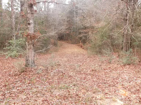 1021 Austin Smith Rd, Ruth, MS 39662 photo 17