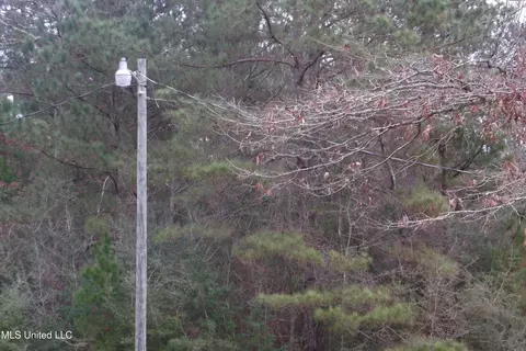 1021 Austin Smith Rd, Ruth, MS 39662 photo 10