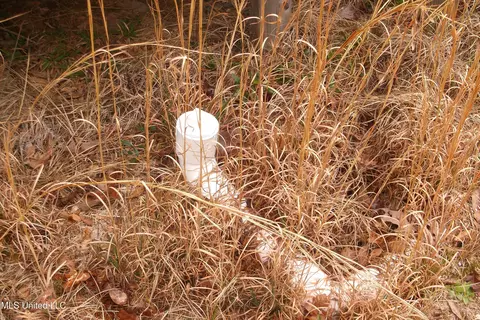 1021 Austin Smith Rd, Ruth, MS 39662 photo 15