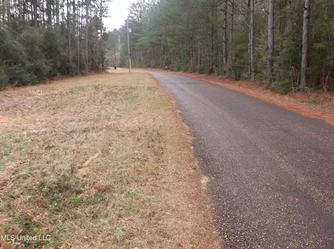 1021 Austin Smith Rd, Ruth, MS 39662 photo 18
