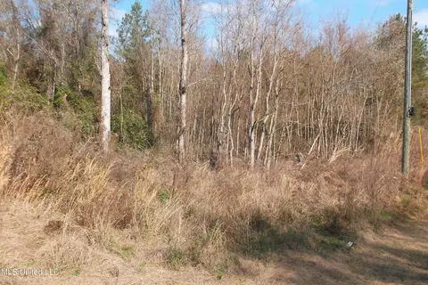 1021 Austin Smith Rd, Ruth, MS 39662 photo 9