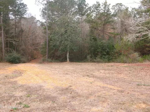 1021 Austin Smith Rd, Ruth, MS 39662 photo 16