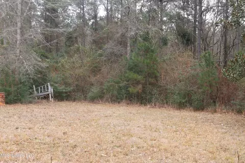 1021 Austin Smith Rd, Ruth, MS 39662 photo 13