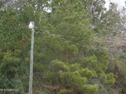 1021 Austin Smith Rd, Ruth, MS 39662 photo 8