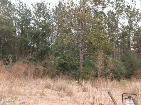 1021 Austin Smith Rd, Ruth, MS 39662 photo 5