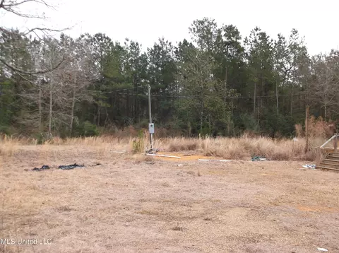 1021 Austin Smith Rd, Ruth, MS 39662 photo 2