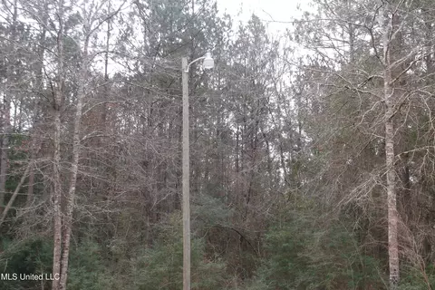 1021 Austin Smith Rd, Ruth, MS 39662 photo 12