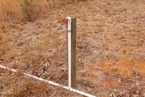1021 Austin Smith Rd, Ruth, MS 39662 photo 11