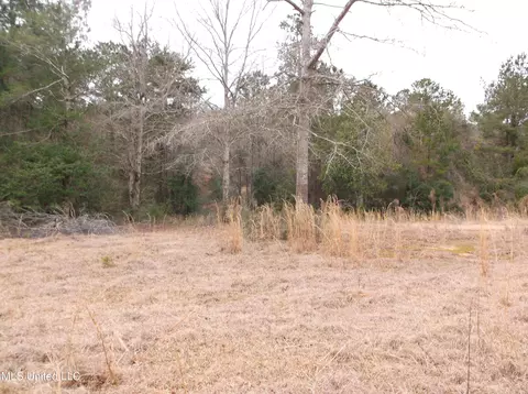 1021 Austin Smith Rd, Ruth, MS 39662 photo 7