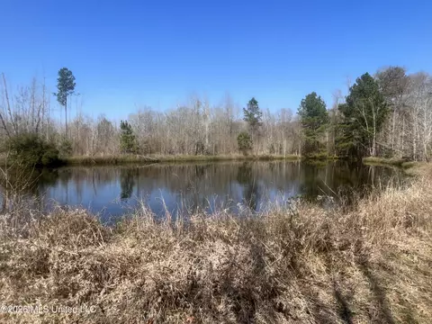 2104 Us-51, Bogue Chitto, MS 39629