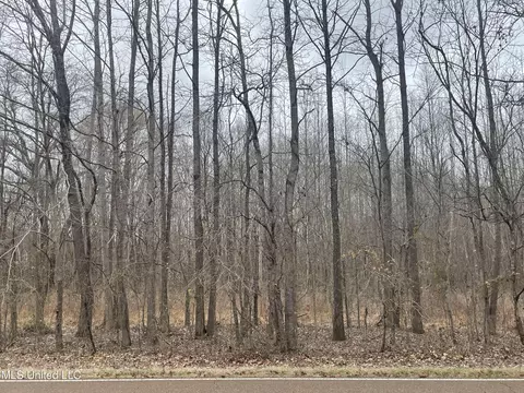 Looxahoma Tyro Road, Senatobia, MS 38668