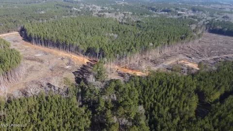 1 Old Pickens Rd, Kosciusko, MS 39090