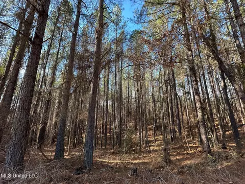 1 Old Pickens Rd, Kosciusko, MS 39090 photo 9