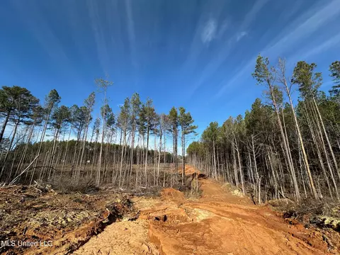 1 Old Pickens Rd, Kosciusko, MS 39090 photo 7