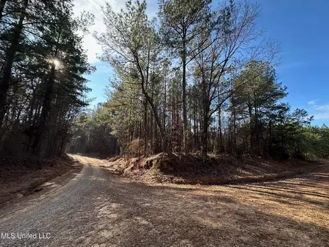 1 Old Pickens Rd, Kosciusko, MS 39090 photo 8