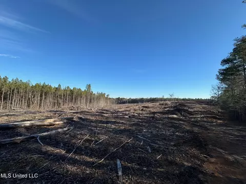 1 Old Pickens Rd, Kosciusko, MS 39090 photo 4