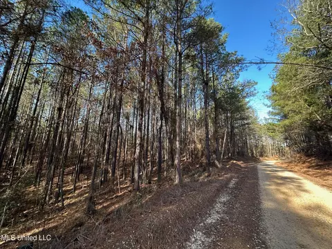 1 Old Pickens Rd, Kosciusko, MS 39090 photo 10