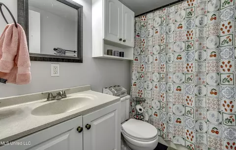 Bath - 112 The Briers Dr, Florence, MS 39073 photo 1 of 3