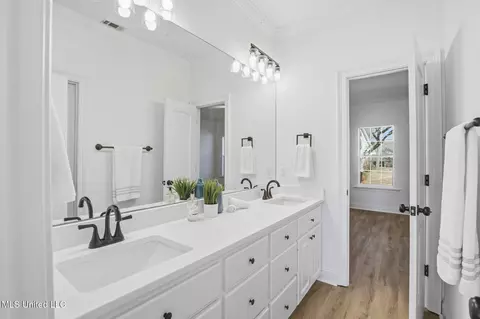 Bath - 314 Fox Holw, Canton, MS 39046 photo 6 of 8