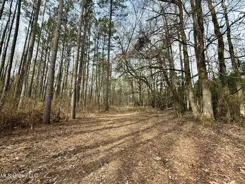 3368 Ms-17, Pickens, MS 39146 photo 41