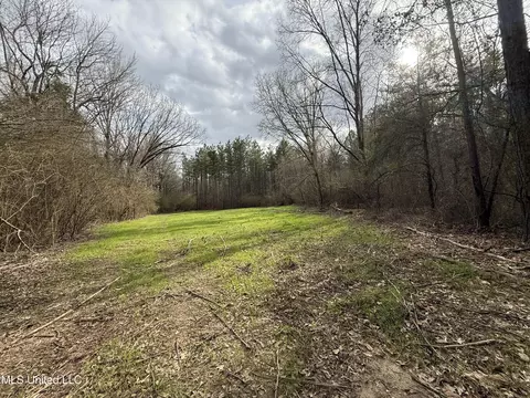 3368 Ms-17, Pickens, MS 39146 photo 46