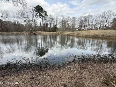 3368 Ms-17, Pickens, MS 39146 photo 44