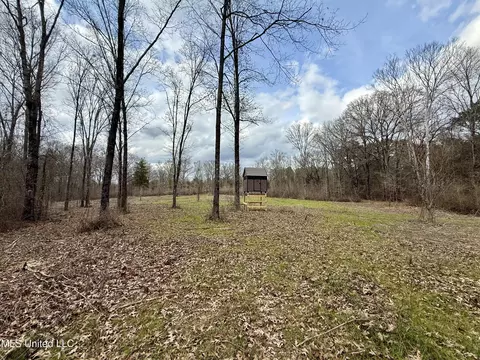 3368 Ms-17, Pickens, MS 39146 photo 8