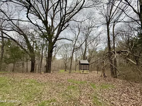 3368 Ms-17, Pickens, MS 39146 photo 6