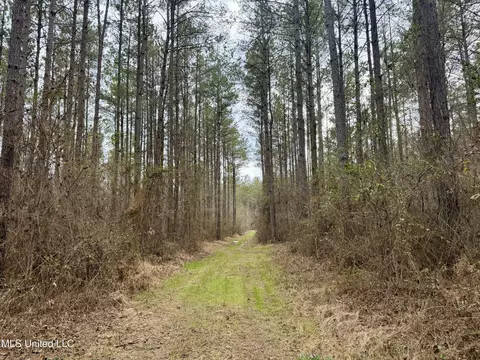 3368 Ms-17, Pickens, MS 39146 photo 29