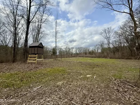 3368 Ms-17, Pickens, MS 39146 photo 51