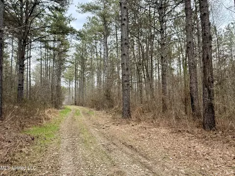 3368 Ms-17, Pickens, MS 39146 photo 30