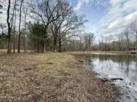 3368 Ms-17, Pickens, MS 39146 photo 43